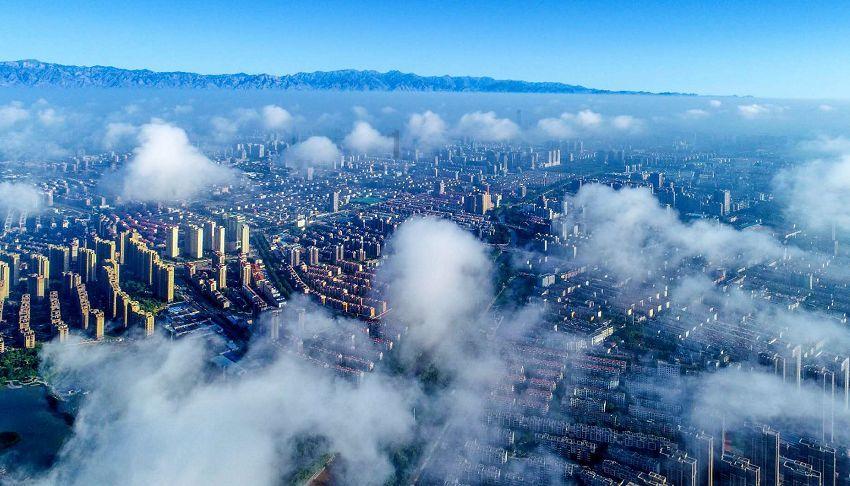 探索未知,问答蜗牛每天重复的工作,对你来说是安稳还是无聊?